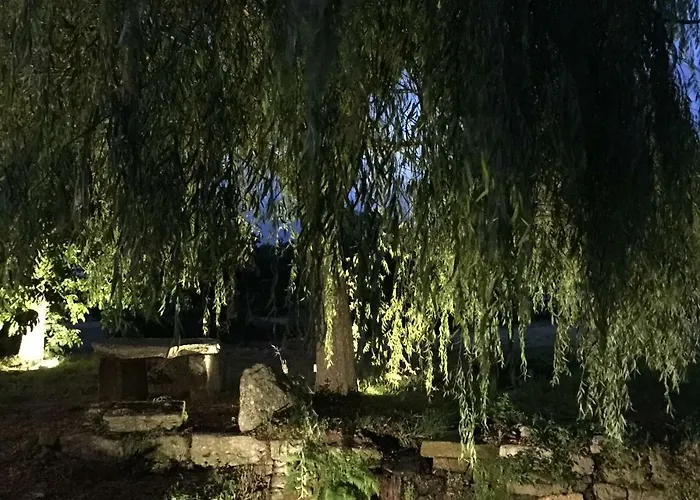 Pazo De Laia (adults Only) 招待所 4*